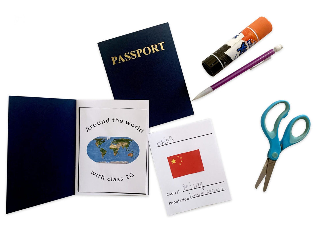 PASSPORT BOOK IDEAS