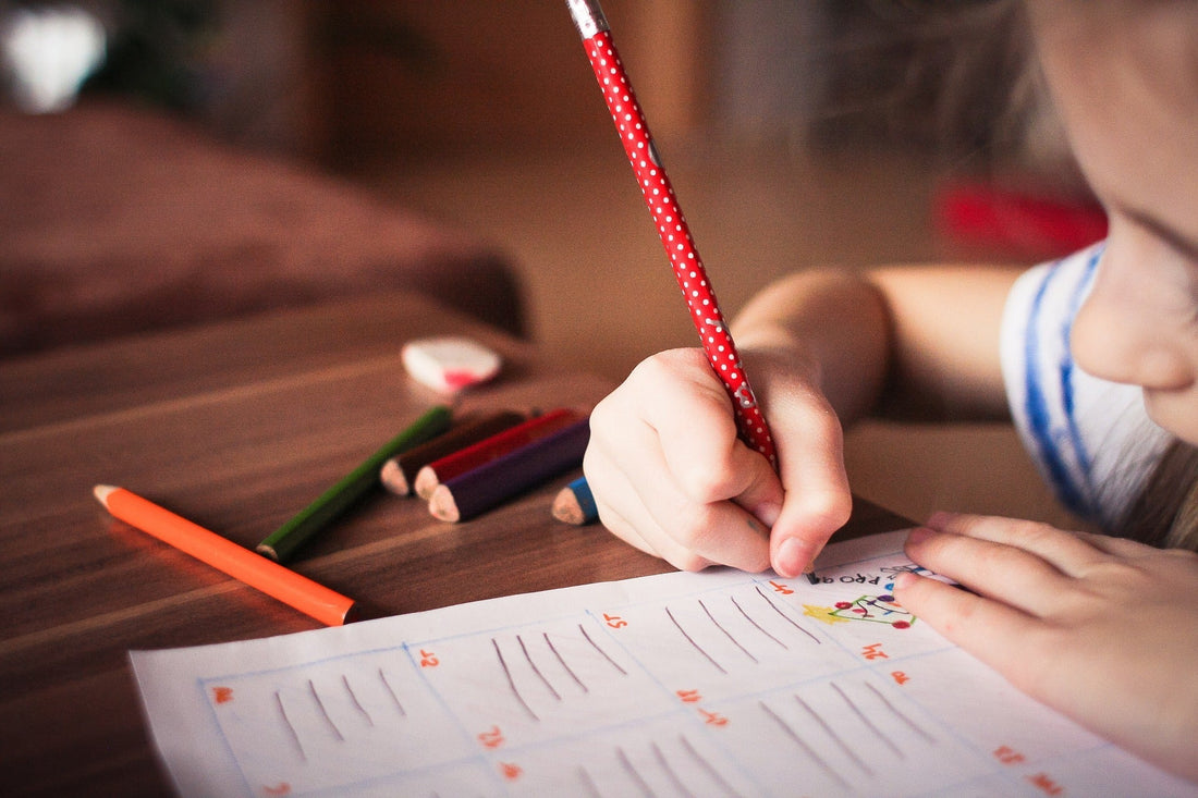 Make Studying Fun With Bright Flash Cards!