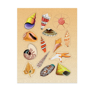 Sea Shell Stickers